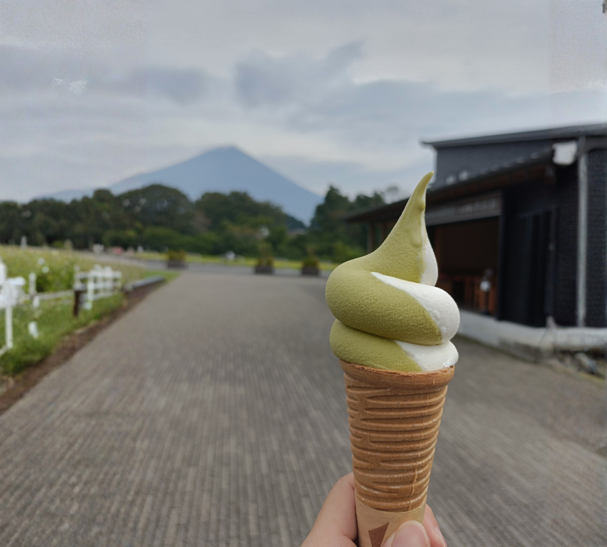 天城名物のわさびソフトクリーム（淡い緑色でなめらかな見た目）