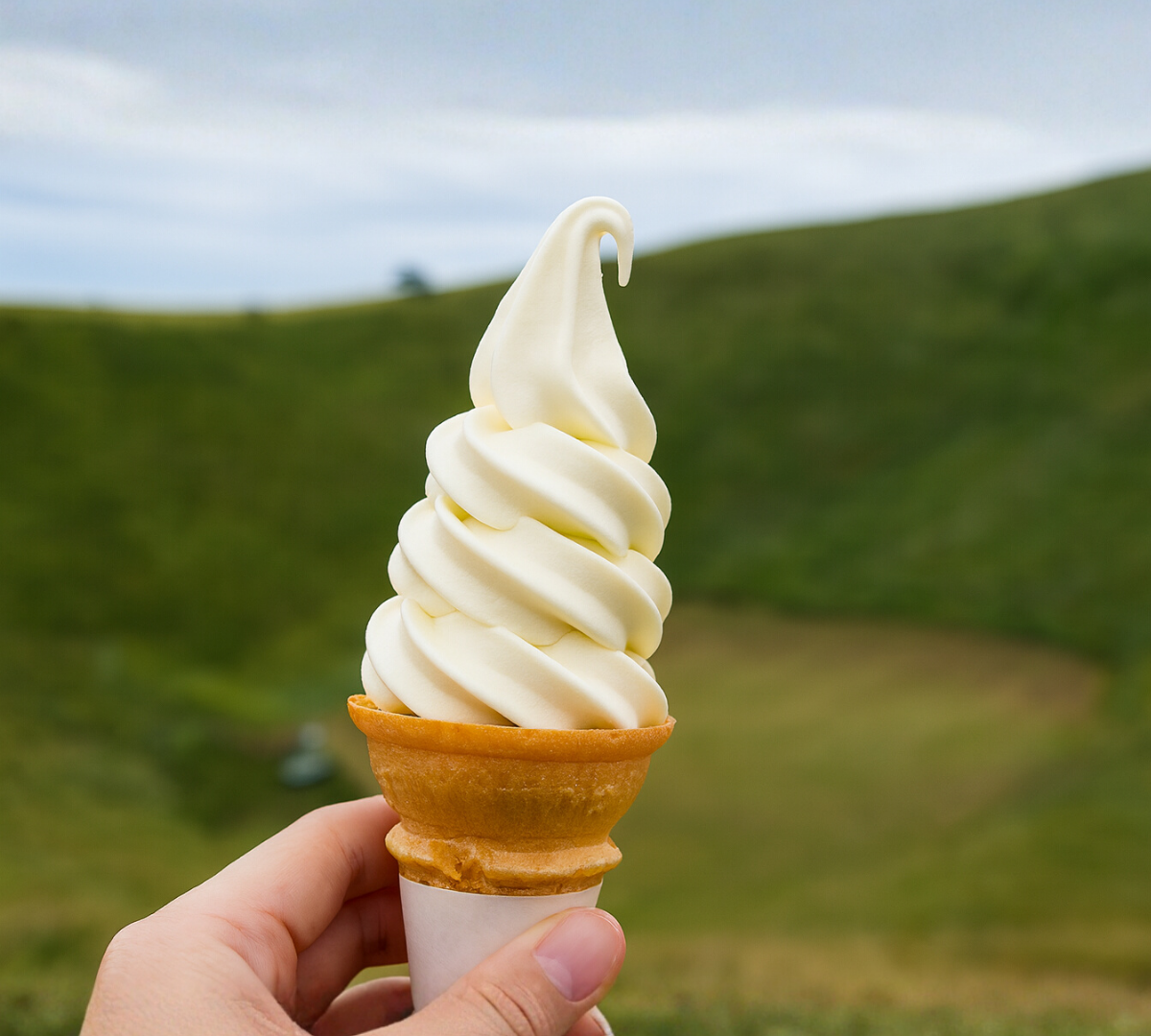 朝霧高原の濃厚ミルクソフトクリーム