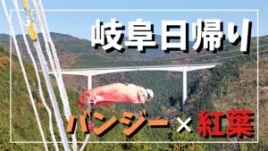 岐阜の日帰り旅のイメージ写真。紅葉の山々を背景に、ブリッジバンジーをする人の様子を写したサムネイル画像