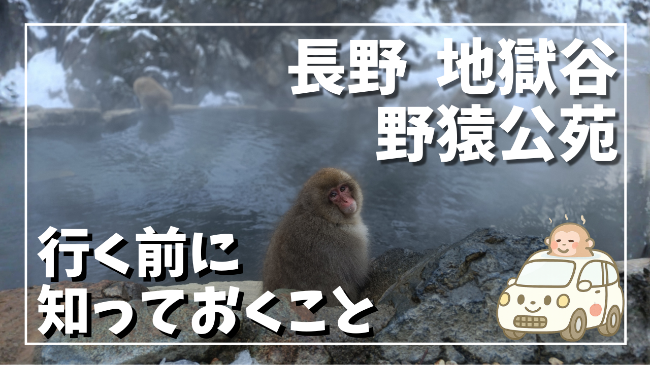 長野県の地獄谷野猿公苑で温泉に入る野猿の様子｜冬の名物スポットと行く前に知っておきたい注意点