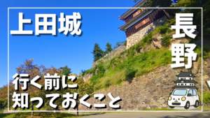 上田城の石垣と建物を斜めから撮影した写真。高低差のある城跡の様子が分かる構図