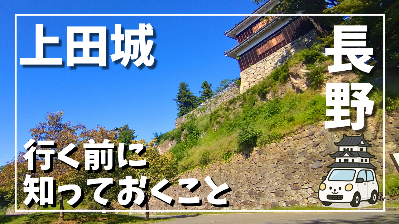上田城の石垣と建物を斜めから撮影した写真。高低差のある城跡の様子が分かる構図